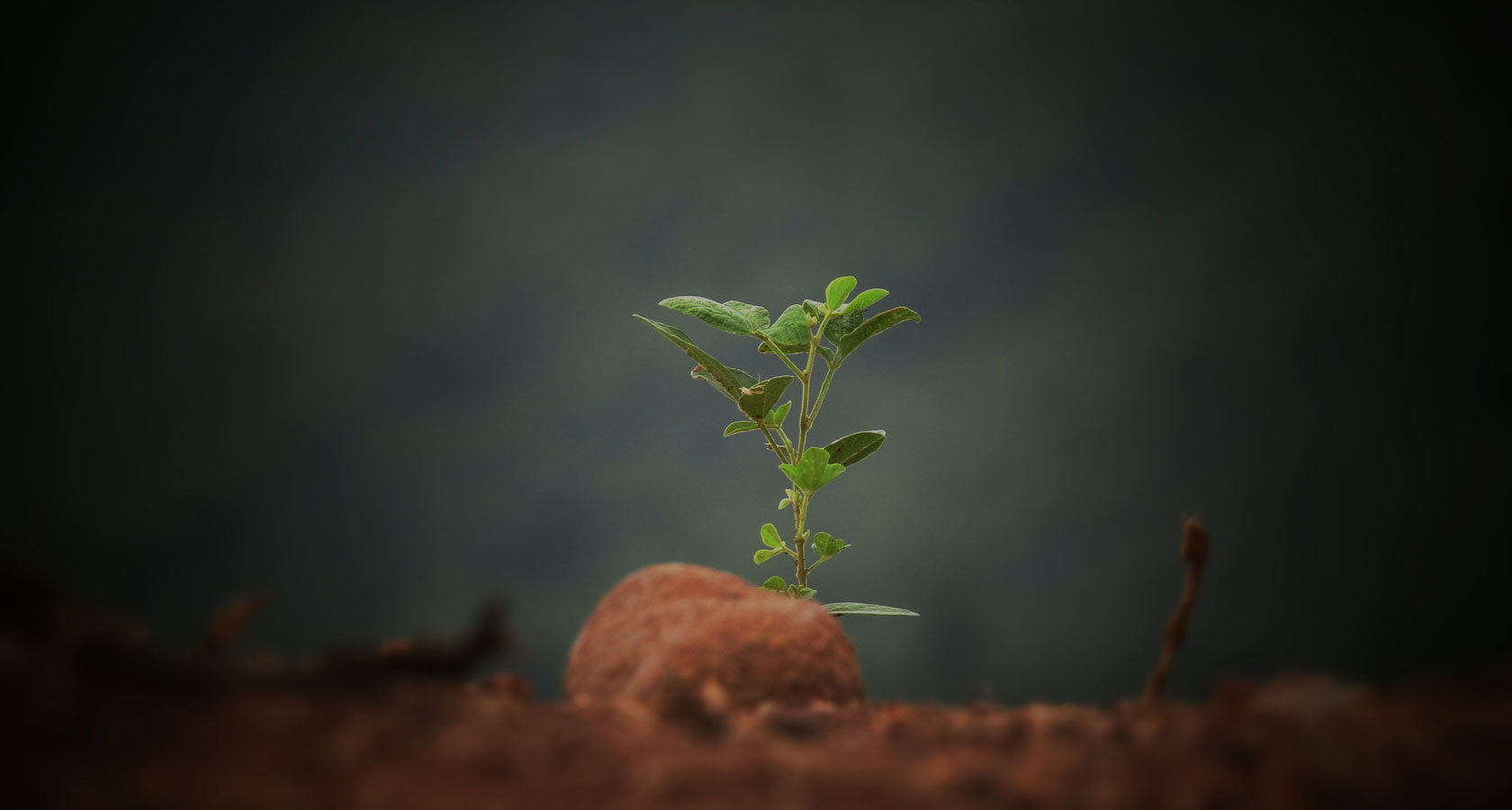 至尊国际 – 至尊服务,至尊享受